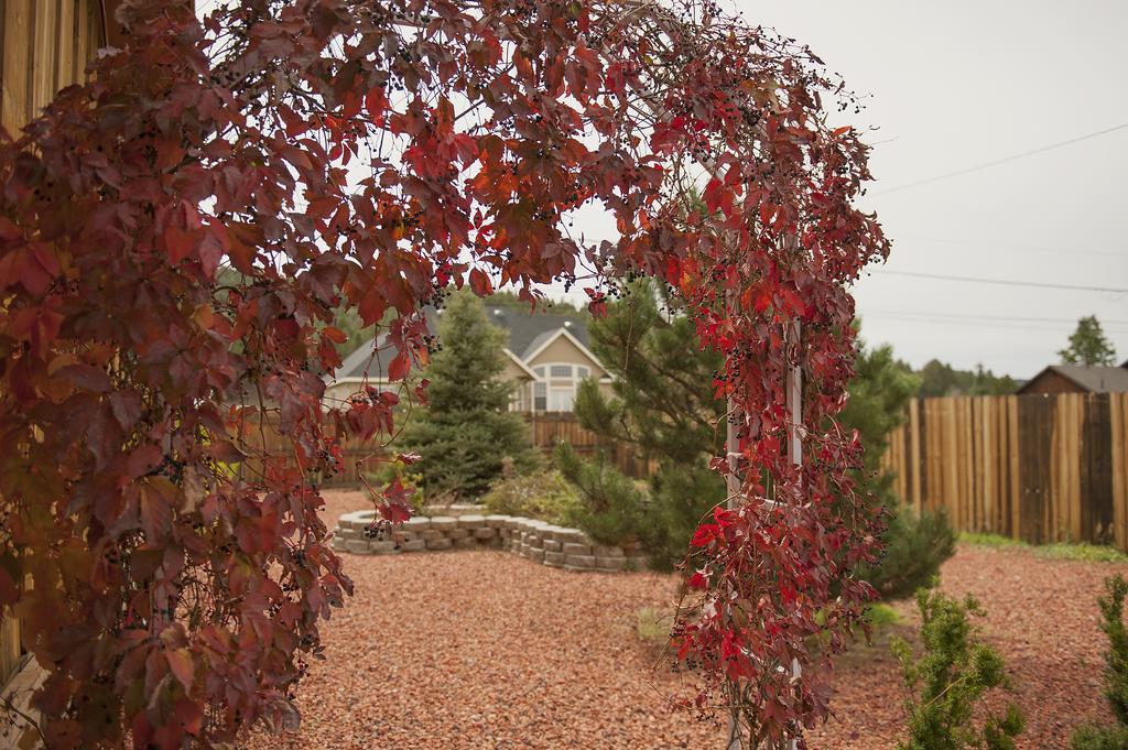 Grand Canyon Bed And Breakfast Williams Esterno foto